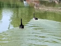-洛阳市隋唐城遗址植物园