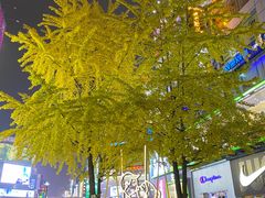 -黄兴南路步行商业街