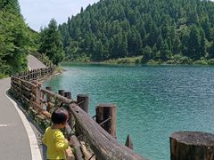 -武陵山森林公园