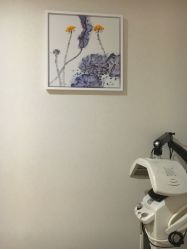 -Cocodemer产后恢复(杭大店)