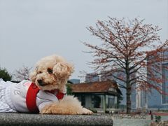 -喜洲吧·江畔老船厂·庭院餐厅(喜临院店)