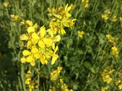 -长春公园(普阳街道)