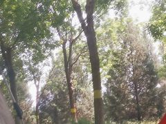 -永定河休闲森林公园