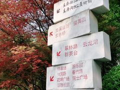 -龙头寺公园