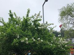 -毛泽东同志旧居