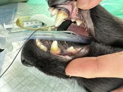 -达爱动物医院·犬猫分区·CT·复杂眼科(远洋山水分院)