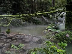 -灵栖洞天