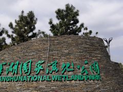 -洋湖国家湿地公园