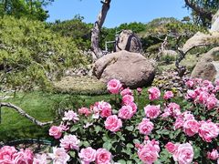 -罗红摄影艺术馆