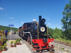 -莫尔道嘎国家森林公园