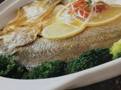 -老长春肉馆(创业大街店)