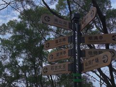 -神光山国家森林公园