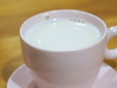 -猫里有甜