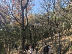 -宝岩生态观光园