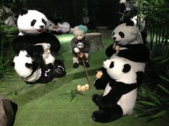 -成都泰迪熊博物馆