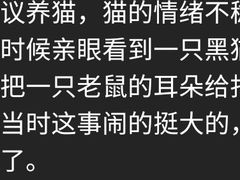 -宋老三苏肉羊肉汤老店