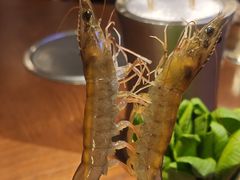 深水虾-东海怡品海鲜豆捞(星街坊店)