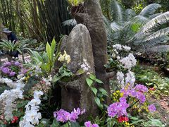 -呀诺达热带雨林
