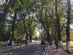 -棒棰岛宾馆景区