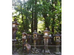 -奈良公园