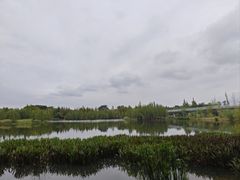 -白鹭湾湿地公园