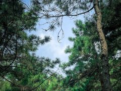 -北京十三陵国家森林公园蟒山景区
