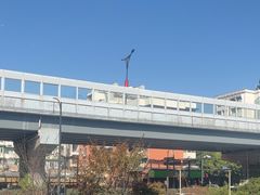 -陈先进鱼馆·地道农家菜(湖墅南路店)
