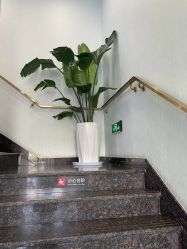-YESIDO椰岛美容