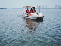 -瑶湖郊野森林公园