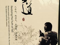 -正道拳击·跆拳道馆(青少年活动中心)