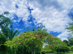 -中国科学院西双版纳热带植物园