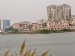 -立新湖公园