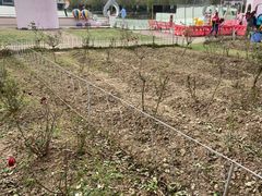 -长廊欢乐园