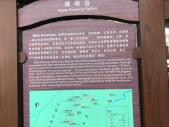 -井冈山风景名胜区