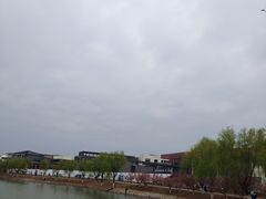 -羊山湖公园