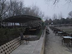 -尚庄度假村·庭台树下·户外烧烤·团建CS·轰趴营地(上庄水库店)