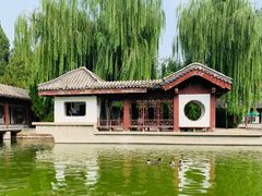 -团结湖公园