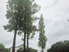 -杭州西湖柳莺里酒店·闻莺厅