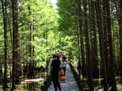 -桤木河湿地公园