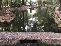 -成都市活水公园