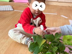 -婴智贝佳蒙特梭利早教托育中心(杨浦店)