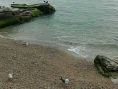 -海驴岛(荣成市)