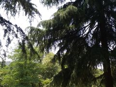 -艾山风景名胜区