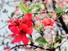 -艾溪湖湿地公园