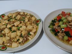 -田螺阿姨自营月嫂·育儿嫂(高新店)