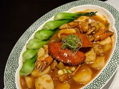 -桂满陇·海市蜃楼·黑金(国金店)