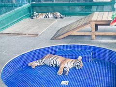 -秦皇岛野生动物园