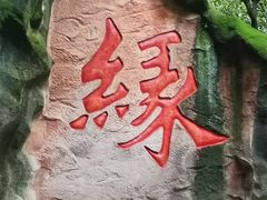 -杭州黄龙洞