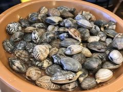 蛤蜊-龍歌自助小火锅(市南金茂湾店)