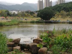 -牛岗山公园